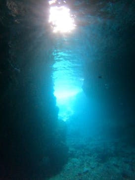 沖縄マリンサービス碧に投稿された画像（2023/3/17）