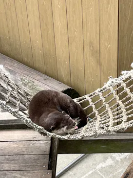 横浜・八景島シーパラダイスに投稿された画像（2023/3/17）