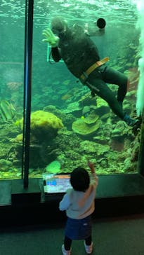 串本海中公園水族館に投稿された画像（2023/3/17）