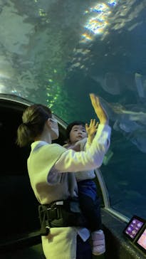 串本海中公園水族館に投稿された画像（2023/3/17）
