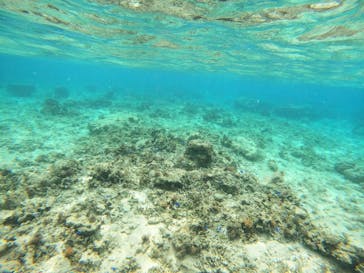 沖縄マリンサービス碧に投稿された画像（2023/3/17）