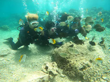 武藤潜水に投稿された画像（2023/3/17）