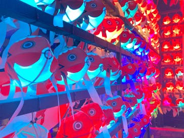 NARA KINGYO MUSEUMに投稿された画像（2023/3/17）