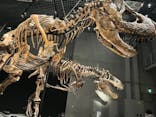 特別展「恐竜博2023」に投稿された画像（2023/3/17）