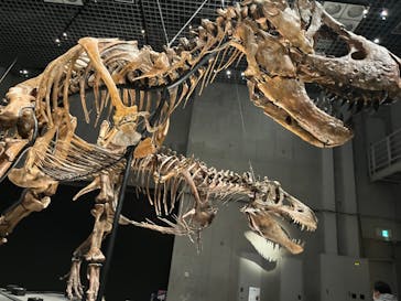 特別展「恐竜博2023」に投稿された画像（2023/3/17）