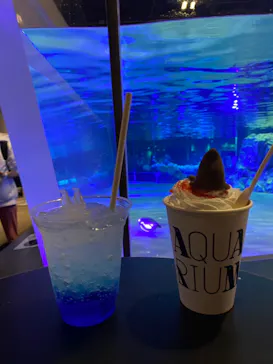 すみだ水族館に投稿された画像（2023/3/17）
