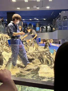 すみだ水族館に投稿された画像（2023/3/17）