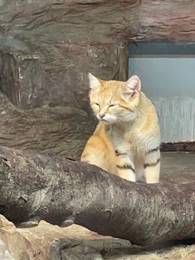 那須どうぶつ王国に投稿された画像（2023/3/17）