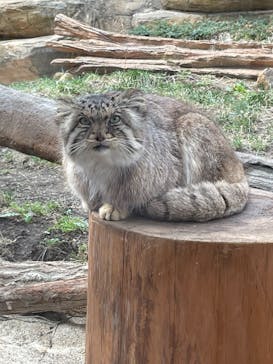 那須どうぶつ王国に投稿された画像（2023/3/17）