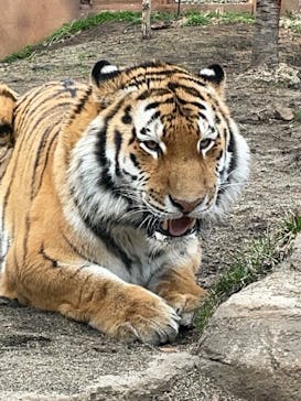 那須どうぶつ王国に投稿された画像（2023/3/17）