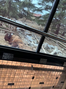 群馬サファリパークに投稿された画像（2023/3/17）