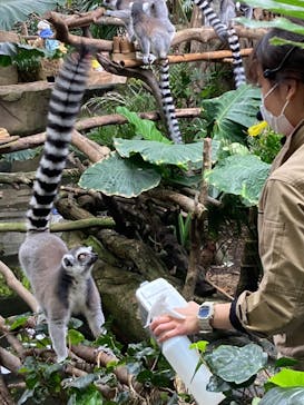 那須どうぶつ王国に投稿された画像（2023/3/17）