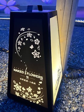 『NAKED FLOWERS 2023 桜 世界遺産・二条城』に投稿された画像（2023/3/17）