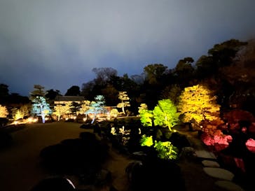 『NAKED FLOWERS 2023 桜 世界遺産・二条城』に投稿された画像（2023/3/17）