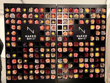 『NAKED FLOWERS 2023 桜 世界遺産・二条城』に投稿された画像（2023/3/17）