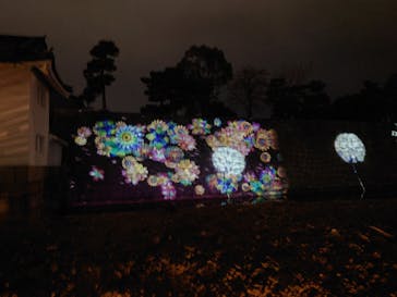 『NAKED FLOWERS 2023 桜 世界遺産・二条城』に投稿された画像（2023/3/17）