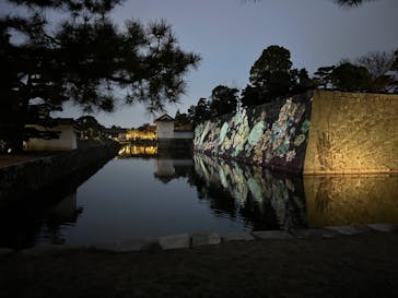 『NAKED FLOWERS 2023 桜 世界遺産・二条城』に投稿された画像（2023/3/17）