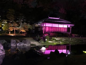 『NAKED FLOWERS 2023 桜 世界遺産・二条城』に投稿された画像（2023/3/17）