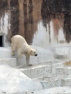 天王寺動物園に投稿された画像（2023/3/17）