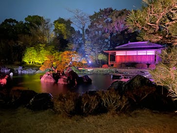 『NAKED FLOWERS 2023 桜 世界遺産・二条城』に投稿された画像（2023/3/17）