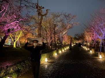 『NAKED FLOWERS 2023 桜 世界遺産・二条城』に投稿された画像（2023/3/17）