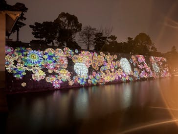 『NAKED FLOWERS 2023 桜 世界遺産・二条城』に投稿された画像（2023/3/17）