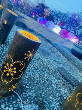 せんだい農業園芸センター　みどりの杜に投稿された画像（2023/3/17）