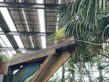 OKINAWAフルーツらんどに投稿された画像（2023/3/17）