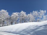 スキージャム勝山に投稿された画像（2023/3/18）