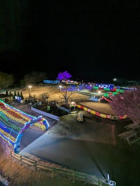 伊豆ぐらんぱる公園に投稿された画像（2023/3/17）