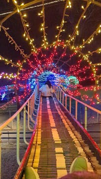 伊豆ぐらんぱる公園に投稿された画像（2023/3/17）