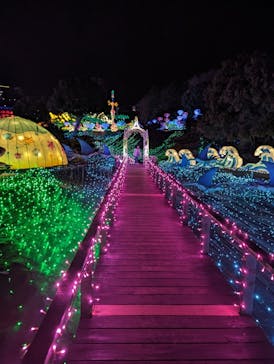 伊豆ぐらんぱる公園に投稿された画像（2023/3/17）