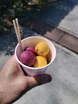 野外民族博物館 リトルワールドに投稿された画像（2023/3/18）