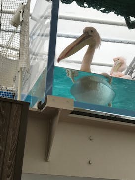 サンシャイン水族館に投稿された画像（2023/3/18）