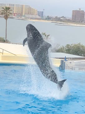 マリンワールド海の中道に投稿された画像（2023/3/18）