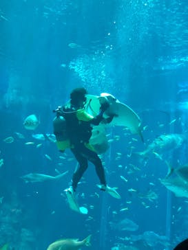 マリンワールド海の中道に投稿された画像（2023/3/18）