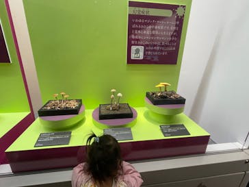 特別展「毒」に投稿された画像（2023/3/18）