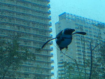 サンシャイン水族館に投稿された画像（2023/3/18）