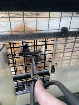 群馬サファリパークに投稿された画像（2023/3/18）