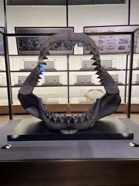 アクアワールド茨城県大洗水族館に投稿された画像（2023/3/18）