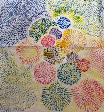 首里 琉染に投稿された画像（2023/3/18）