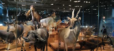 特別展「恐竜博2023」に投稿された画像（2023/3/18）