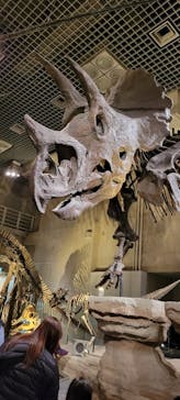 特別展「恐竜博2023」に投稿された画像（2023/3/18）