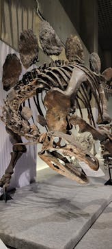 特別展「恐竜博2023」に投稿された画像（2023/3/18）