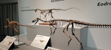 特別展「恐竜博2023」に投稿された画像（2023/3/18）
