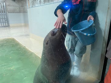 大分マリーンパレス水族館 「うみたまご」に投稿された画像（2023/3/18）