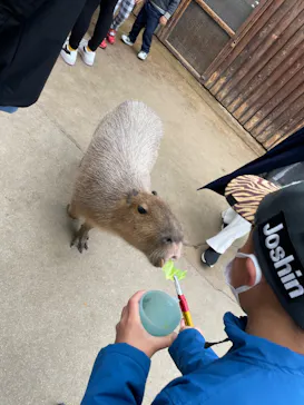 神戸どうぶつ王国に投稿された画像（2023/3/18）