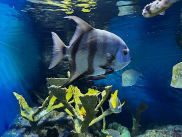 サンシャイン水族館に投稿された画像（2023/3/18）