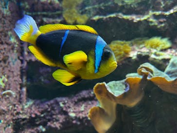 サンシャイン水族館に投稿された画像（2023/3/18）