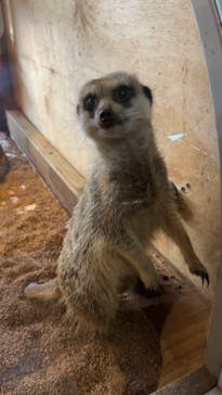 美らヤシパークオキナワ・東南植物楽園に投稿された画像（2023/3/18）